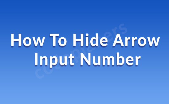 How To Hide Arrow Input Number Hide Arrow Input Number