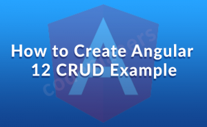 How to Create Angular 12 CRUD Example - angular 12 CRUD example