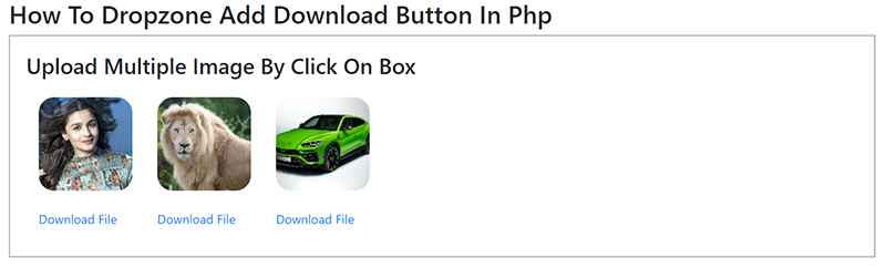 How To Dropzone Add Download Button In Php